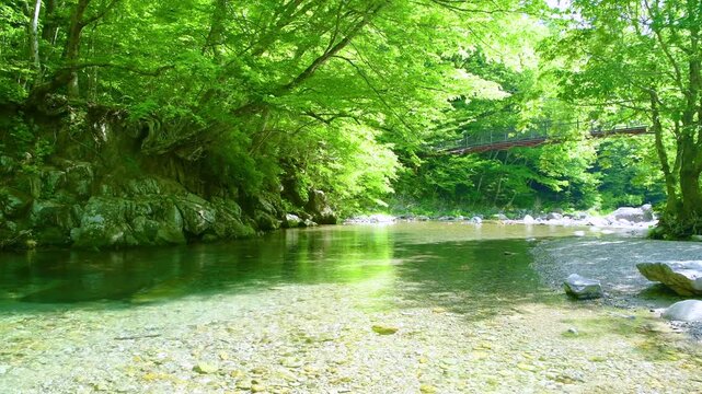 栃木県那須塩原市　木の俣園地を流れる木の俣川と巨岩吊り橋