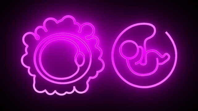 Pink neon icons of human embryo and ovum. Medical biology icons for maternity healthcare pregnancy clinic tracking. Digital neon icons animation for gynecology science.