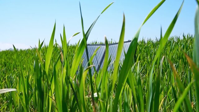 Portable photovoltaic solar panel placed in tall green grass outdoors, video footage of sustainable clean energy and renewable electricity concept