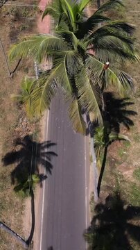 Vertical Aerial Shot of Parra Road Goa India