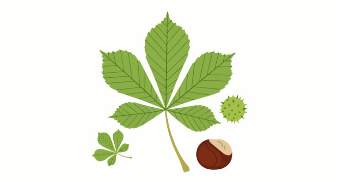 Stylized autumn elements leaf, prickly seed pod, and shiny brown nut
