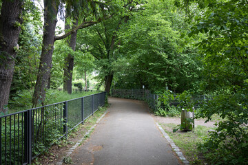 Fototapeta premium A paved pathway winds through a lush green park with mature trees and a metal fence