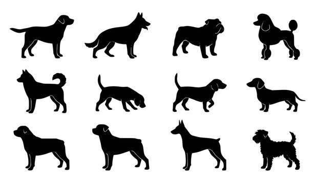 Dog Silhouette Collection with Different Breed Standing Poses Vector Set
