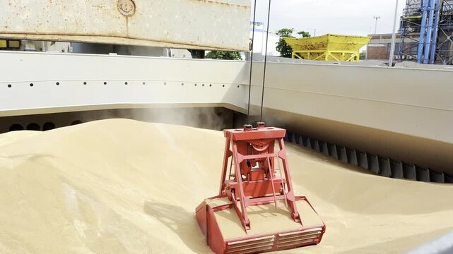 discharging wheat from ship cargo hold to hopper on berth and to truck. cargo operation in port.