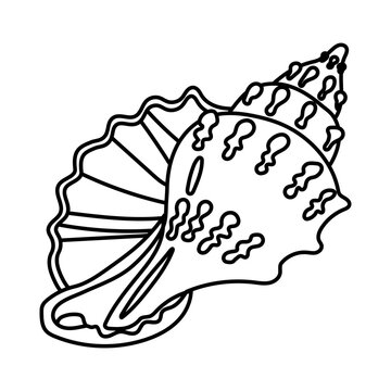 Minimalist outline icon of a triton sea shell. Simple tropical marine nature line drawing isolated on white. Flat vector illustration