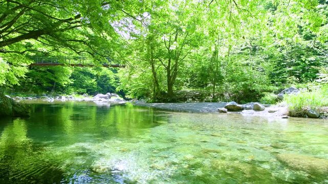 栃木県那須塩原市　木の俣園地を流れる木の俣川と巨岩吊り橋