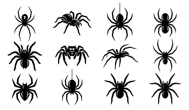 Spider Silhouette Halloween Insect Icon Set Vector Illustration