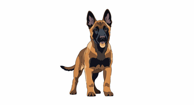Alert guard dog, with erect ears and panting tongue, stands on white