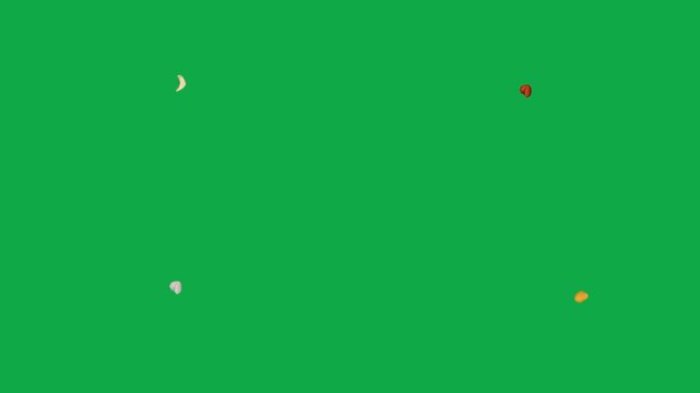 Panda Bear Polar Camel animation on green screen chroma key background flat lighting no shadow flush edge isolated 3d clay model perfect compositing vfx asset high quality render animation video raw