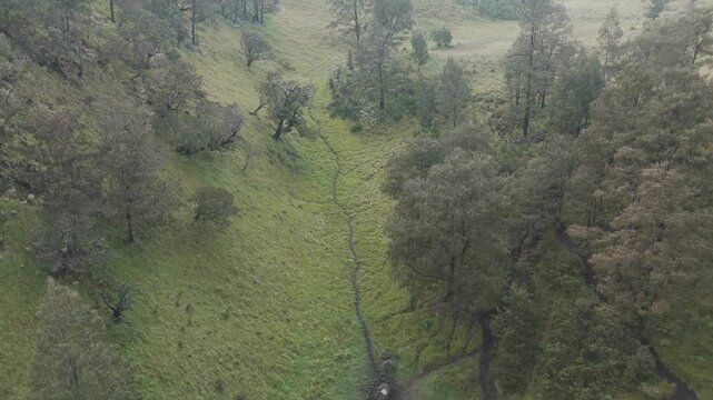 Exploring a Stunning Valley Surrounded by Lush Greenery and Gentle Slopes during Daylight Hours