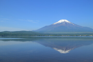 Fototapeta premium 逆さ富士 山中湖 青 空 背景