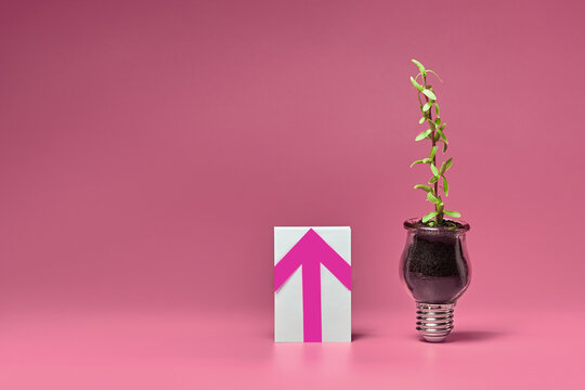 Growth and business innovation conceptual still life
