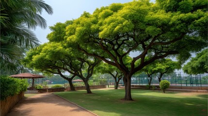 Obraz premium Serene Park Landscape with Lush Green Trees, Peaceful Pathways, and Gazebo in Bright Daylight Under Clear Sky for Relaxation and Nature Enthusiasts