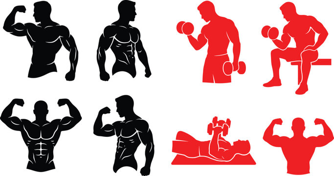 Bodybuilder and Gym Workout Silhouette Collection with Dumbbell Exercise Muscular Fitness Training Vector Set