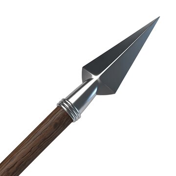 A close-up of a metal spearhead with a wooden handle.