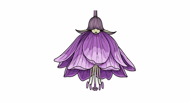 Delicate purple bell-shaped flower with drooping petals and prominent stamens