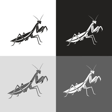 Praying Mantis Silhouette Set: Black, White, Gray, and Reverse - Vector Art