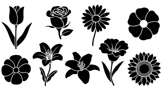 Black floral silhouettes rose tulip lily daisy and others on white