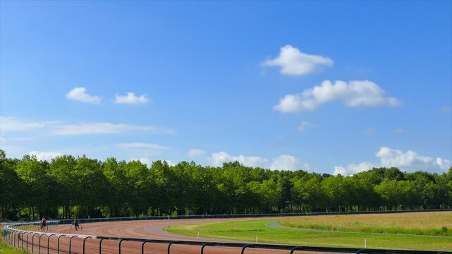 青空と新緑のマロニエの木々