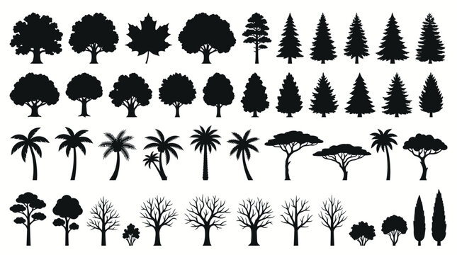 Collection of diverse tree silhouette icons including deciduous, coniferous, palm, and leafless forms arranged in grid pattern for design and education