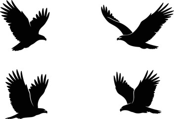 Obraz premium Flying Eagle Silhouette Collection with Spread Wings Isolated in Black for Wildlife Logo Tattoo and Nature Design Projects