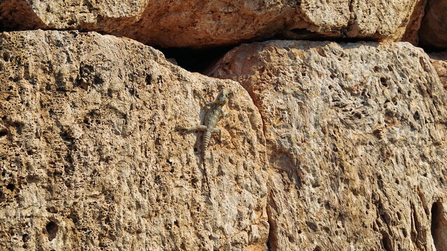 Weathered Stone Wall Texture Background