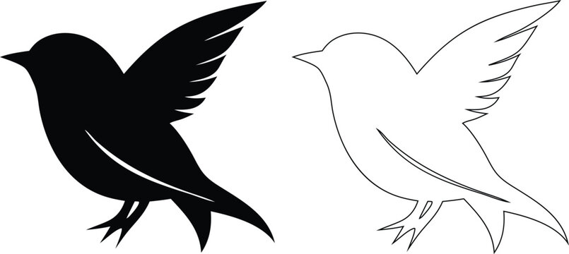 Black bird silhouette and white outline flying on white background, animal wings tail
