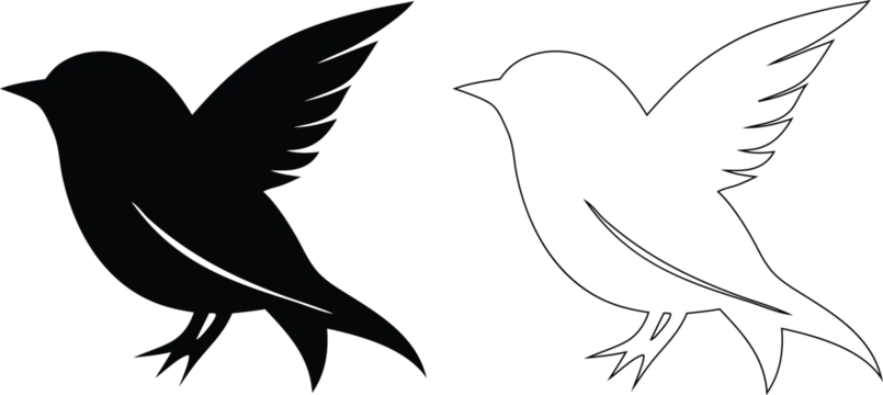 Black bird silhouette and white outline flying on white background, animal wings tail
