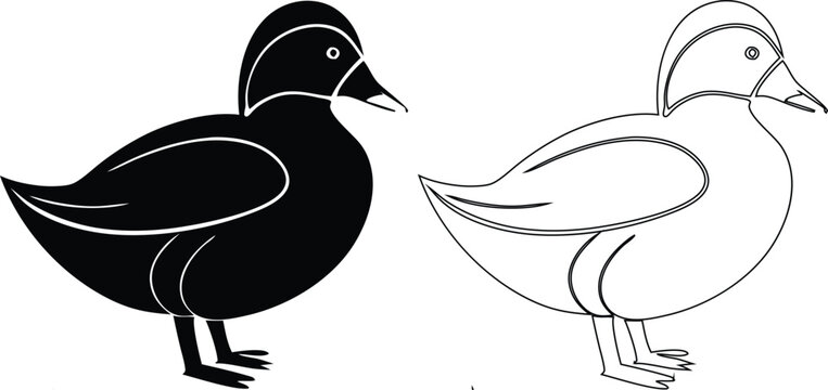 Black silhouette and white outline of a plump duckling standing on its feet keywords: duck, duckling, bird