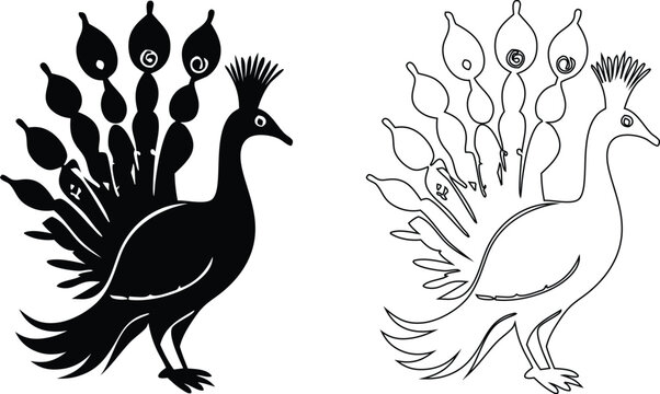 Black silhouette and outline of a peacock with fanned tail on white background bird