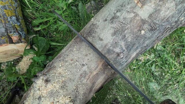 Top view 240fps super slow motion of a chainsaw blade slicing through a tree log. Detailed footage of flying sawdust chips, professional lumberjack labor and forestry safety work