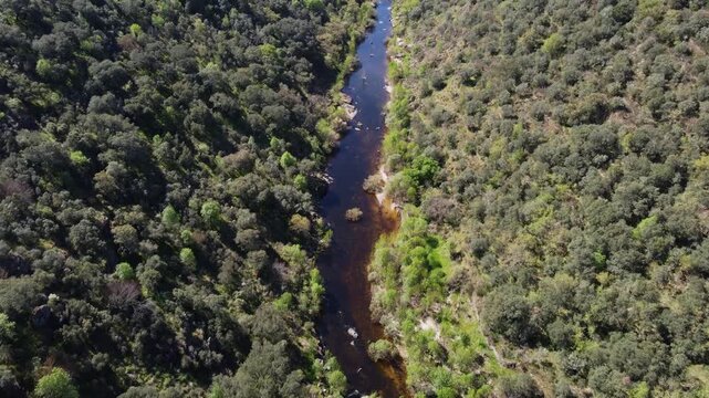 4K top-down aerial drone video advancing over a dark river flowing through a lush canyon. The riverbed is surrounded by dense green vegetation, including holm oaks and cork oaks, in the Pozo de los Hu
