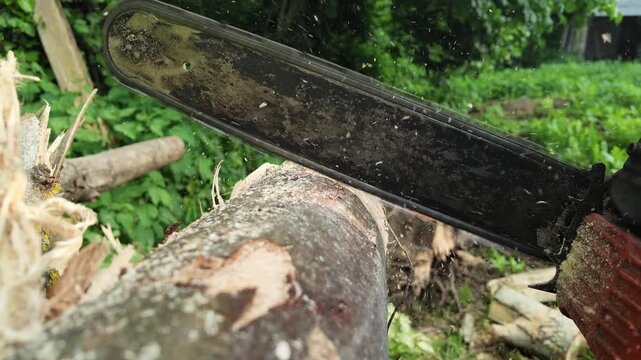 Macro 240fps super slow motion of a chainsaw guide bar starting to bite and cut into a tree log. High angle detailed footage of professional forestry labor and power tools action