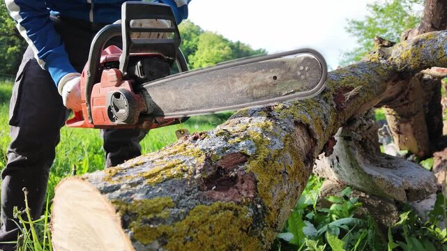 Super slow motion 240fps of an active chainsaw chain spinning idle over a tree log. Front view of boscaiolo equipment preparation, power tools safety and forestry industry concept
