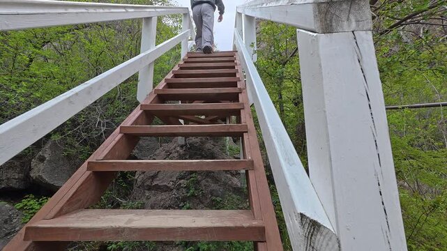 A person ascends a wooden ladder affixed to a bridge's exterior. The scene conveys determination and a sense of upward progress.