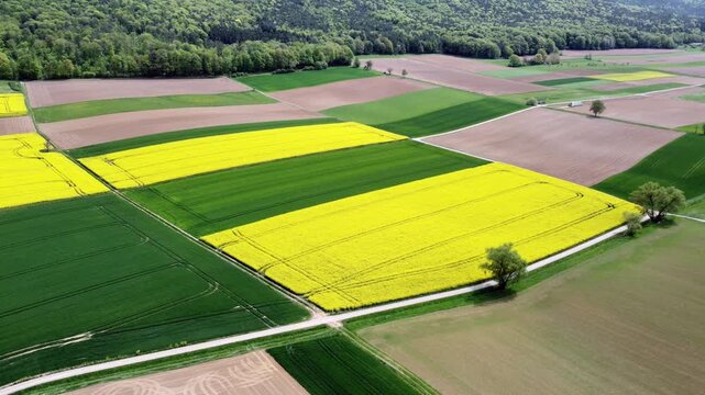 Drohne fliegt &uuml;ber Agrarlandschaft im Fr&uuml;hling, Rapsfeld, Getreidefeld, Landwirtschaft, Luftaufnahme, Bayern

