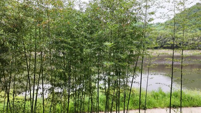 울산 태화강 국가정원