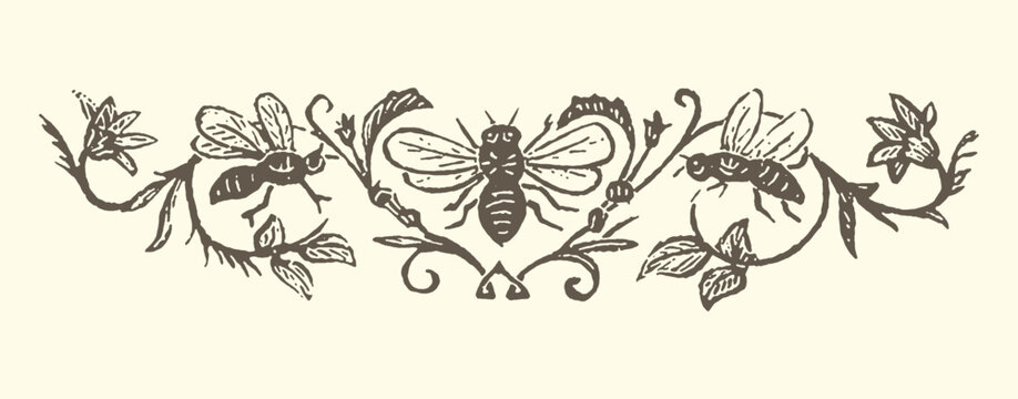 Vintage bee and floral decorative border illustration with illustration decorative scrollwork ornament engraving traditional stylized monochromatic handdrawn