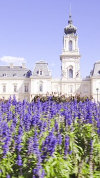 Violet garden in front of the castle in Hungary slide shot