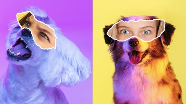 Funny dogs wearing human eye masks in colorful stop motion collage. Concept of playful pet identity, animal humor, social media content, dog emotions and creative advertising.