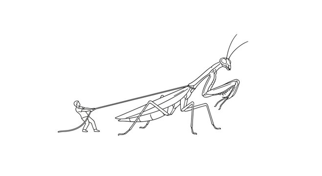 Tiny Man Pulls Giant Praying Mantis with Rope - Surreal Tug of War