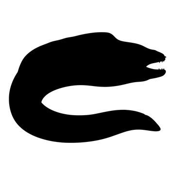 Minimalist silhouette of a coiled alligator head depicting simplicity and abstract wildlife art style suitable for modern design
