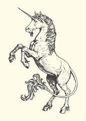 A single rearing unicorn hand-drawn sketch style with flowing mane and tail mythical creature illustration equestrian fantastic imaginary animalia heraldry monochrome engraving artistic © bbilfunk