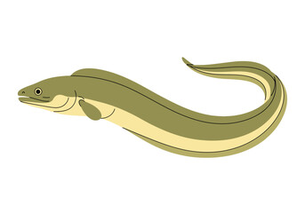Naklejka premium An illustration of an eel swimming in water with its body curved.