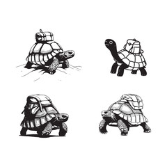 Fototapeta premium Set of handdrawn tortoises with backpacks isolated on white background