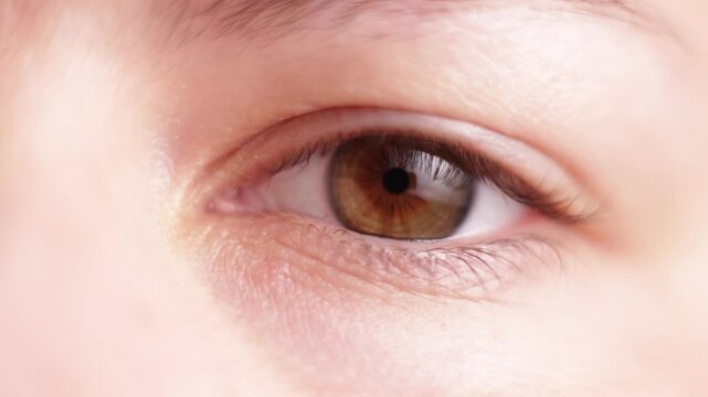 Close-up extreme macro shot of a human eye with brown iris and delicate eyelashes