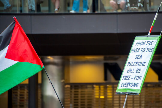Palestine Flag in Conflict Protest