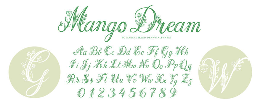 Botanical hand drawn alphabet letters collections for boutique logos and wedding monograms.
