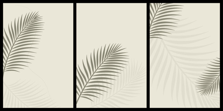 Minimal tropical palm leaf background set with elegant botanical shadow design