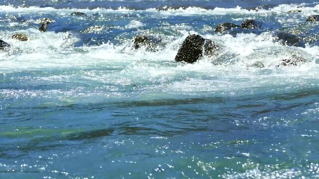桂川の清流